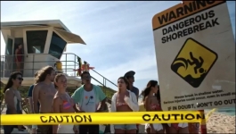 Rescue HI-Surf - Season 01 Episode 05